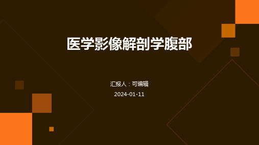 医学影像解剖学腹部ppt