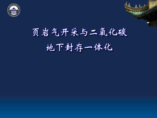 页岩气开采与二氧化碳地下封存一体化