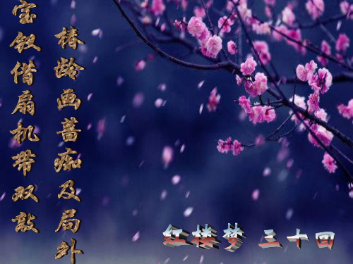 红楼梦第三十回