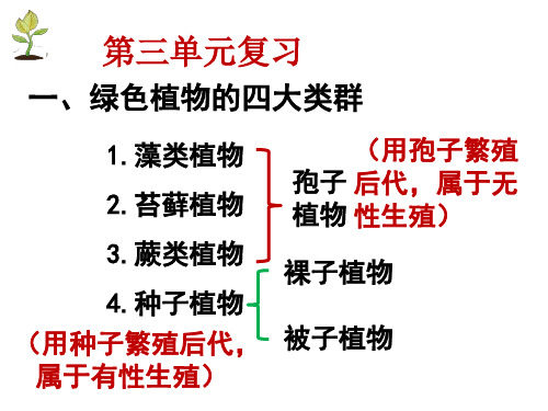 生物圈中的绿色植物复习课件人教版生物七年级上册