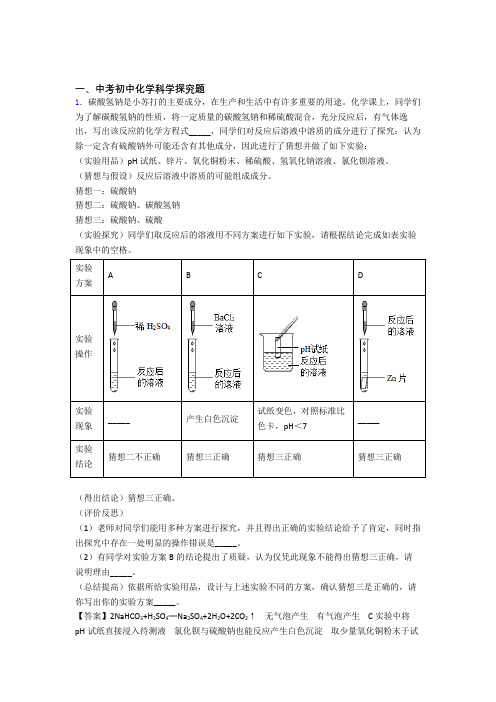 中考化学提高题专题复习探究题练习题附答案