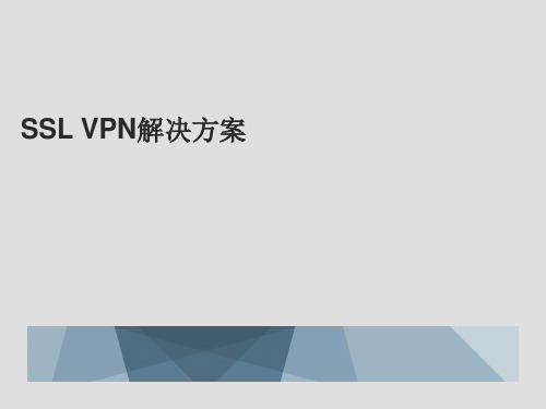 SSL VPN解决方案