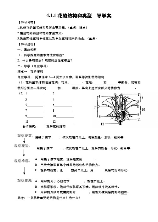 济南版八年级生物上册：4.1.1花的结构和类型  导学案