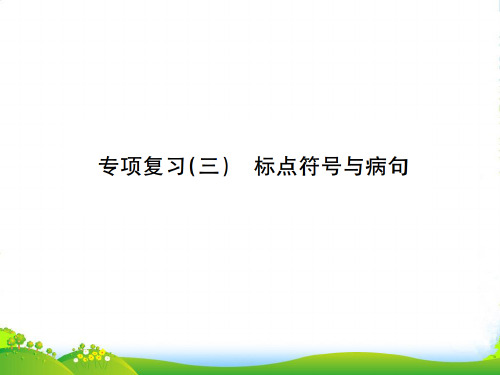 部编版七年级语文下册：专项复习三 标点符号与病句