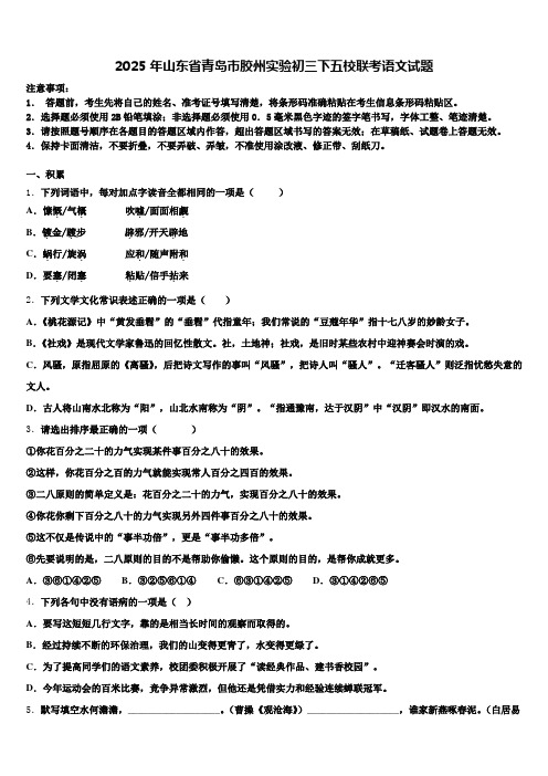 2025年山东省青岛市胶州实验初三下五校联考语文试题含解析