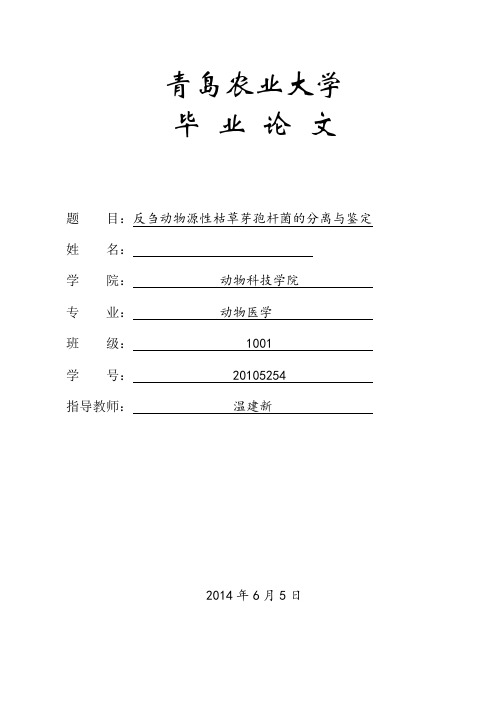 反刍动物源性枯草芽孢杆菌的分离与鉴定