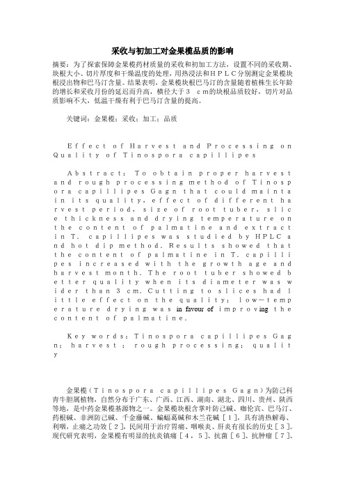 采收与初加工对金果榄品质的影响