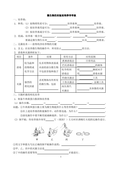 高二生物《微生物的实验室培养》学案