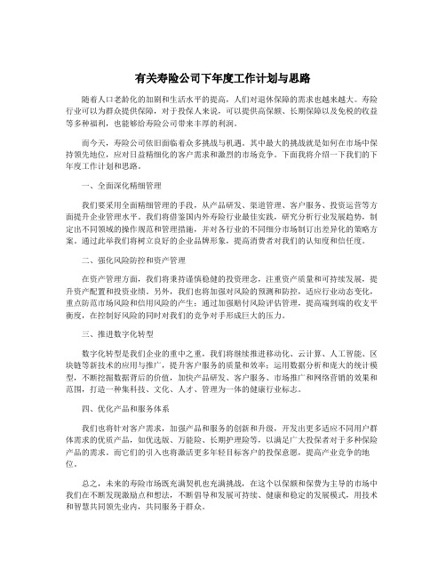 有关寿险公司下年度工作计划与思路