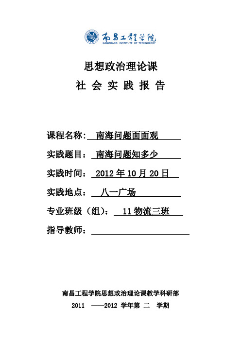 形势与政策社会实践报告