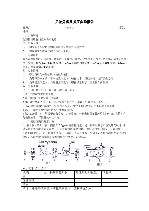 (完整word)质壁分离及复原实验实验报告