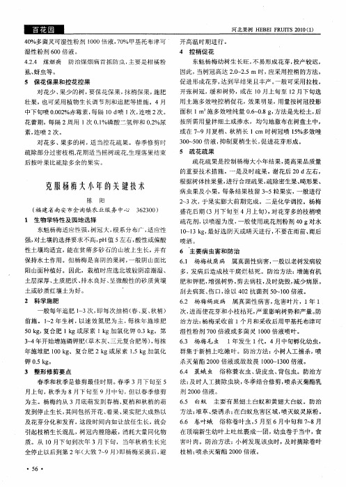 克服杨梅大小年的关键技术