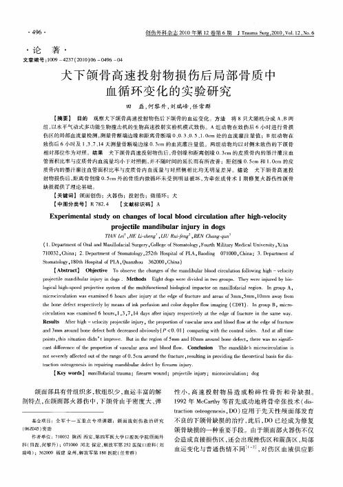 犬下颌骨高速投射物损伤后局部骨质中血循环变化的实验研究