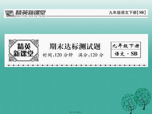 九年级语文下学期期末达标测试课件(新版)苏教版