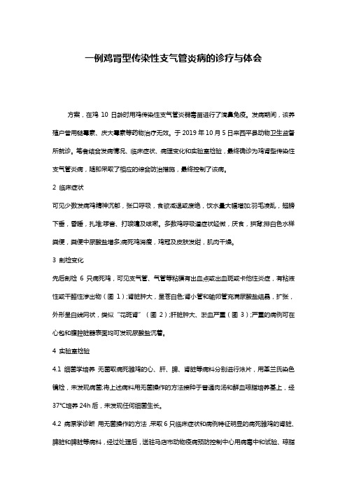 一例鸡肾型传染性支气管炎病的诊疗与体会