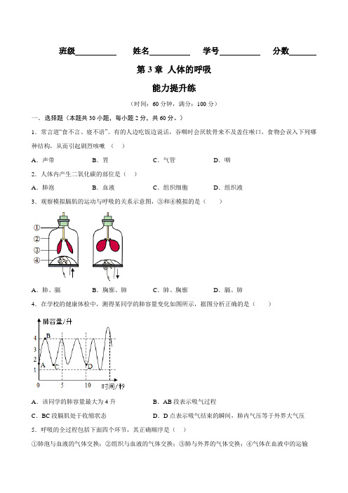 第3章 人体的呼吸(能力提升练)-【单元测试】七年级生物下册分层训练卷(人教版)(原卷版+解析版)