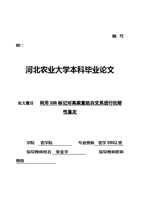 (完整版)利用SSR标记对高粱重组自交系进行抗蚜性鉴定本科毕业设计