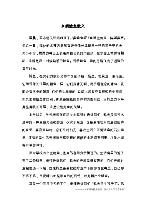 乡间鲶鱼散文