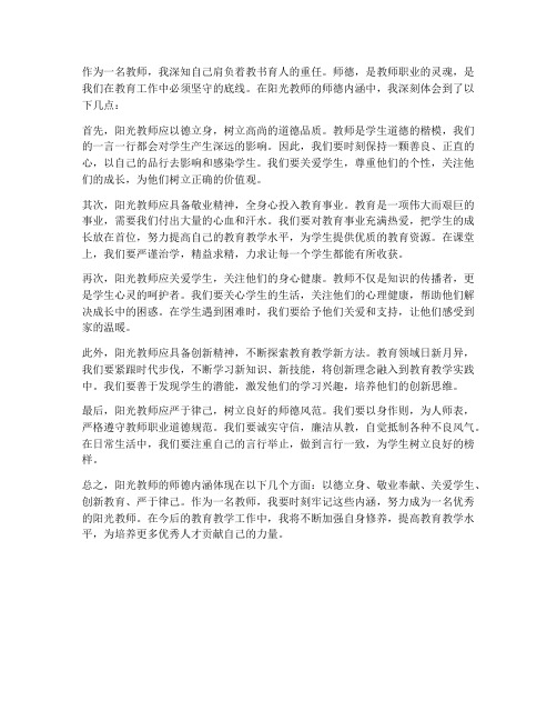 阳光教师师德内涵心得体会