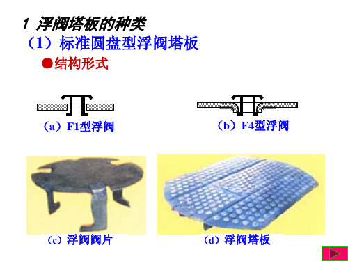 化工塔盘分类PPT课件