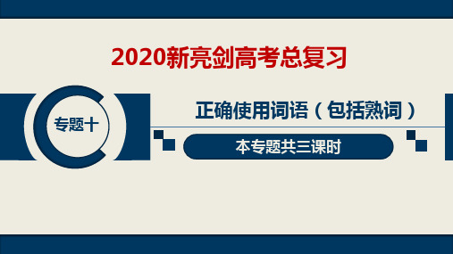 (第一课时)20语文新亮剑PPT专题10“课堂精讲“