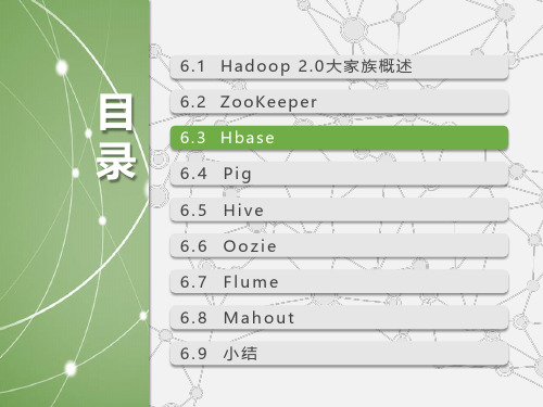 21. 云计算 之二十一：第6章 Hadoop 2.0 大家族(二)