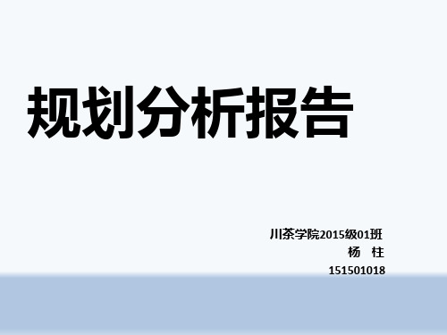 农业规划分析报告 PPT课件