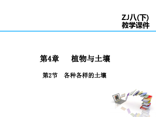 2024版浙教版科学八年级下课件 第4章  植物与土壤 第2节  各种各样的土壤