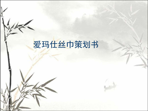 爱马仕丝巾策划书 PPT