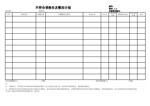 不符合项报告及整改计划(模板)