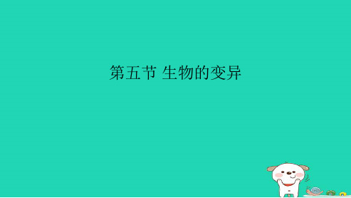 新人教版八年级生物下册第五节生物的变异ppt课件