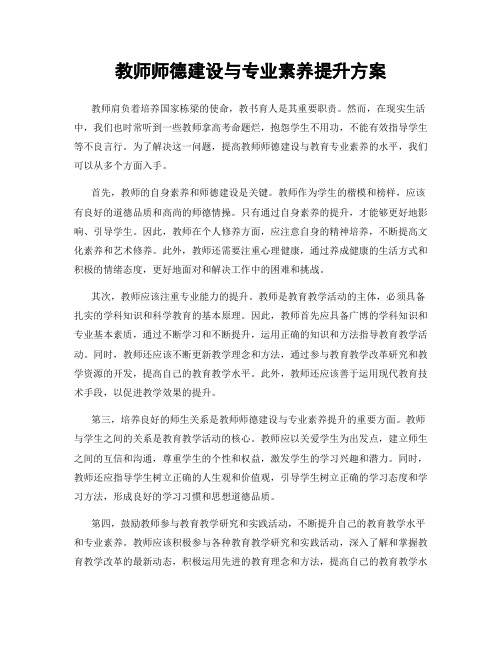 教师师德建设与专业素养提升方案