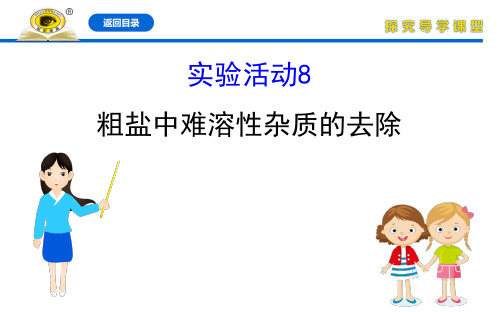 20版化学《初中金榜学案》9下人教：实验活动 8