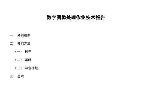 数字图像处理作业技术报告