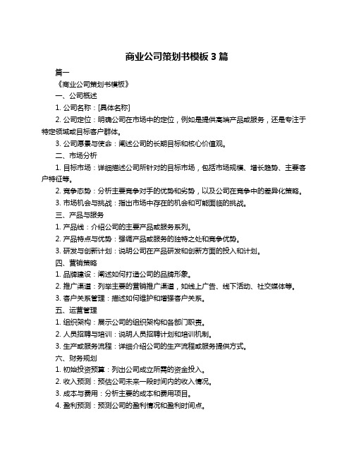 商业公司策划书模板3篇