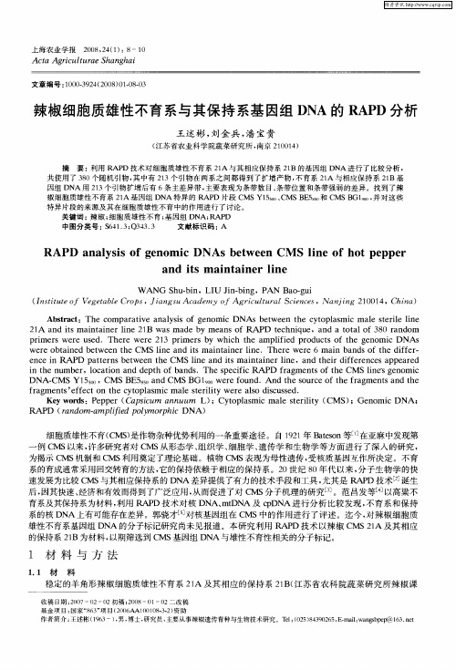 辣椒细胞质雄性不育系与其保持系基因组DNA的RAPD分析