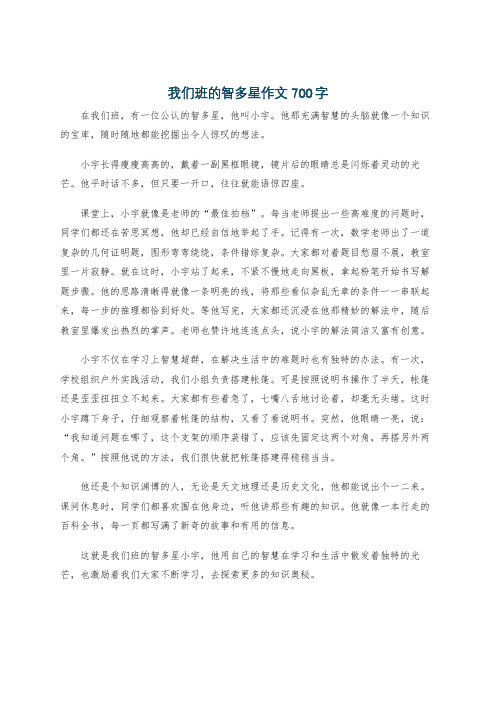 我们班的智多星作文700字