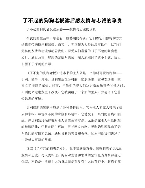 了不起的狗狗老板读后感友情与忠诚的珍贵