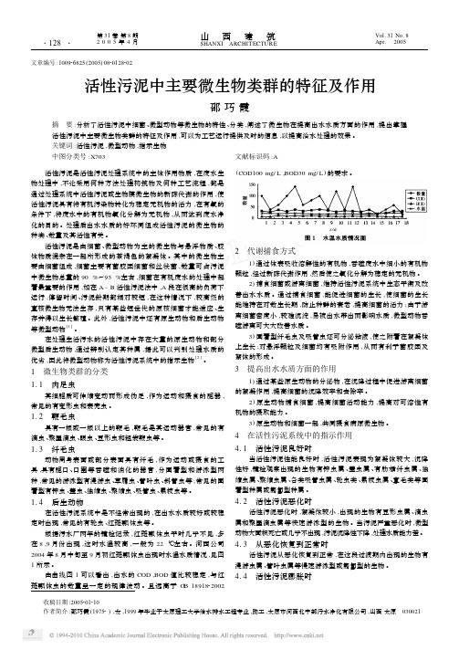 活性污泥中主要微生物类群的特征及作用