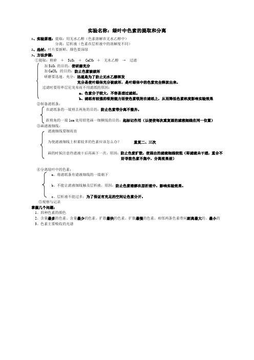 叶绿素的提取和分离