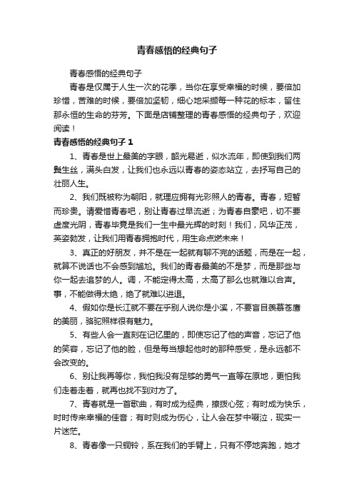 青春感悟的经典句子