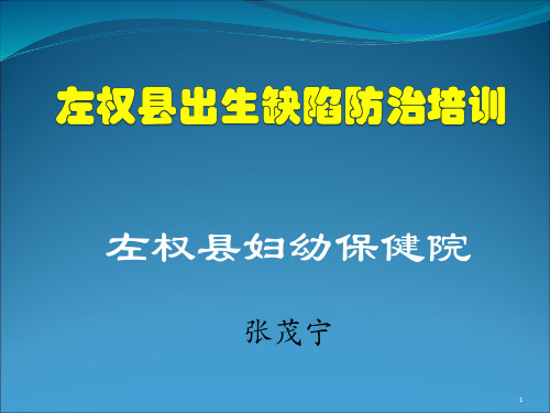 出生缺陷防治培训PPT课件