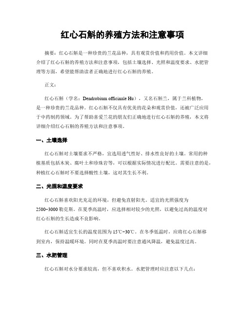 红心石斛的养殖方法和注意事项