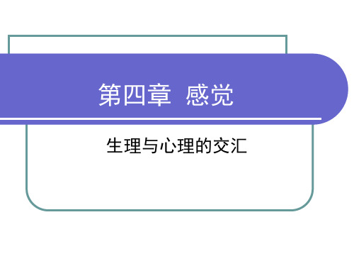 第四五章 认知过程-感知觉