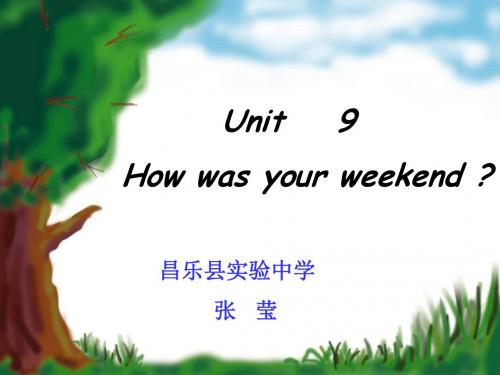 人教新目标七年级下Unit 9 How was your weekend课件