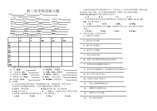 初中化学用语练习题(化学方程式前)