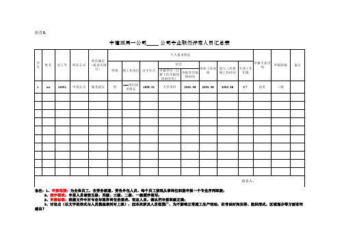 中建三局一公司专业职级评定人员汇总表20161012