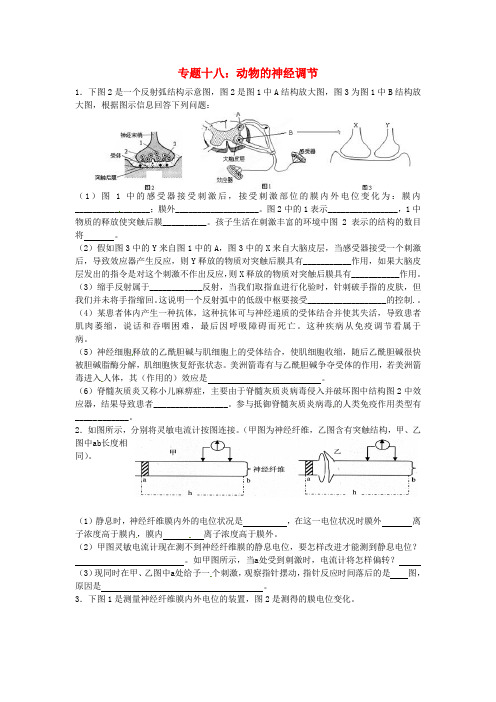 江苏省淮安中学高三生物总复习专题18