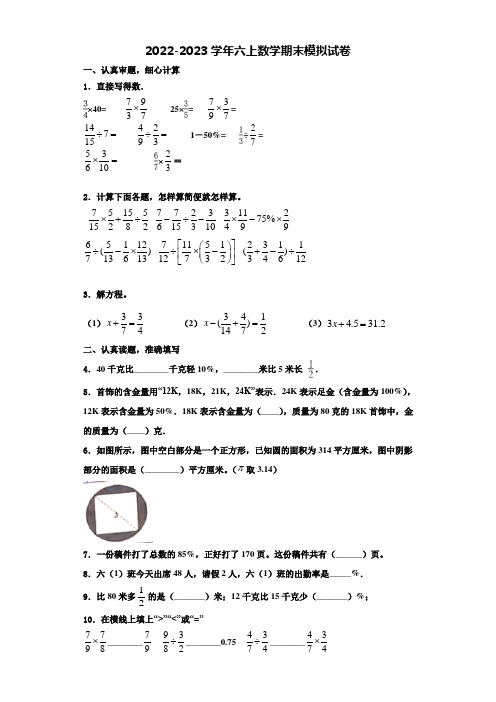 2022-2023学年广东省茂名市信宜市数学六上期末质量检测模拟试题含解析