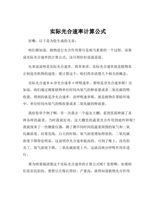 实际光合速率计算公式